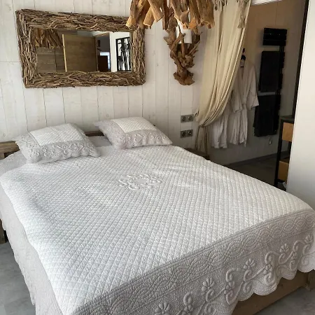 Apartamento Proche du port appartement standing avec Sauna privé